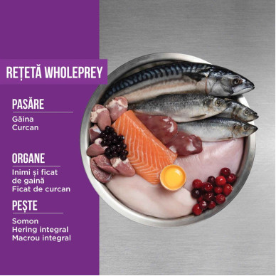 ORIJEN Kitten – hrană uscată fără cereale pentru pui de pisică, 1,8 kg